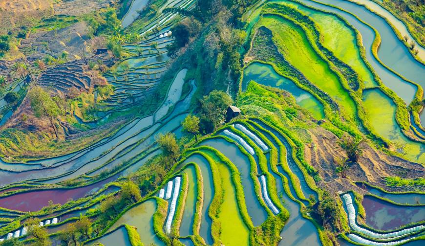 宝妈必备神器：化州市产品视频拍摄轻松育儿好帮手