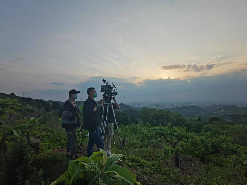 创意破圈！化州市电商产品宣传视频用故事化叙事引爆流量