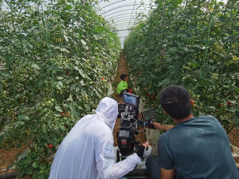 化州市产品宣传视频拍摄公司进阶指南，助力品牌抢占传播高地